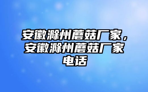 安徽滁州蘑菇廠(chǎng)家，安徽滁州蘑菇廠(chǎng)家電話(huà)
