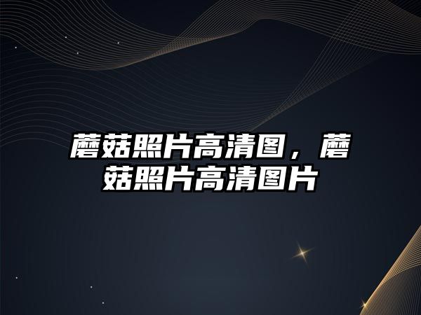 蘑菇照片高清圖，蘑菇照片高清圖片