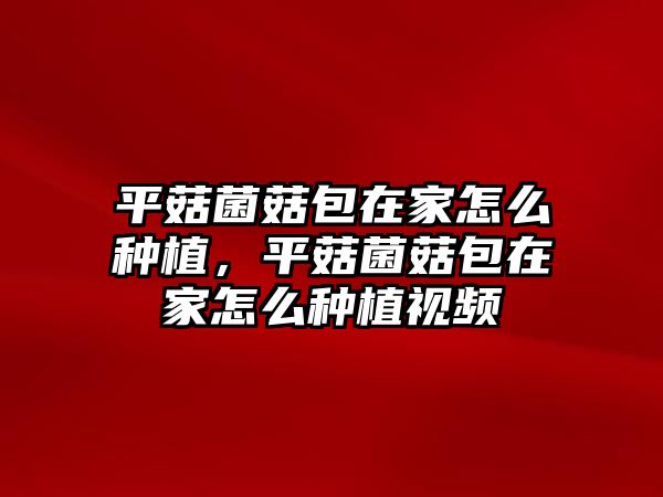 平菇菌菇包在家怎么種植，平菇菌菇包在家怎么種植視頻